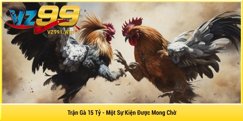 Trận Gà 15 Tỷ - Một Sự Kiện Được Mong Chờ