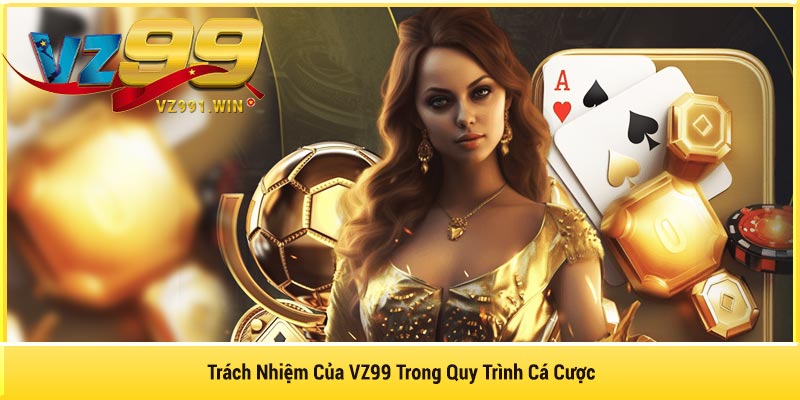 Trách Nhiệm Của VZ99 Trong Quy Trình Cá Cược