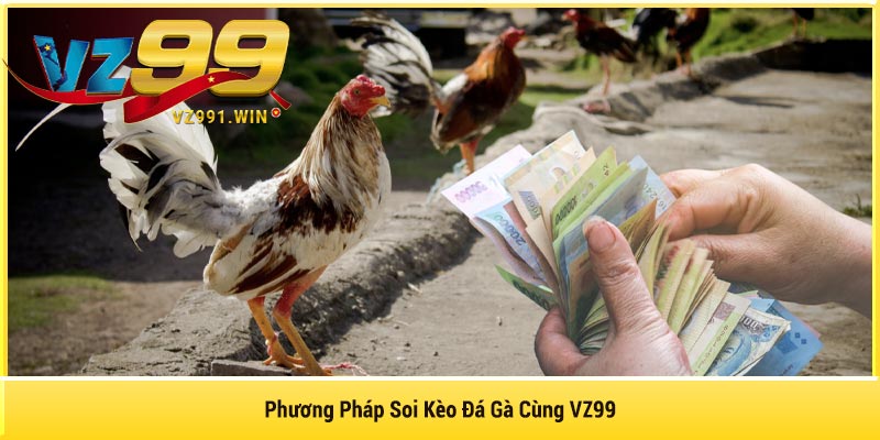 Phương Pháp Soi Kèo Đá Gà Cùng VZ99
