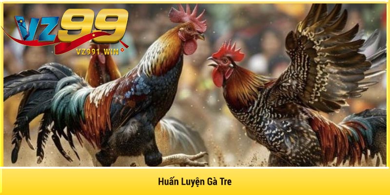 Huấn Luyện Gà Tre