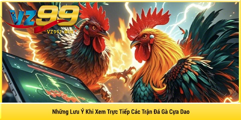 Những Lưu Ý Khi Xem Trực Tiếp Các Trận Đá Gà Cựa Dao