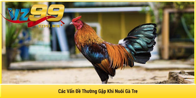 Các Vấn Đề Thường Gặp Khi Nuôi Gà Tre