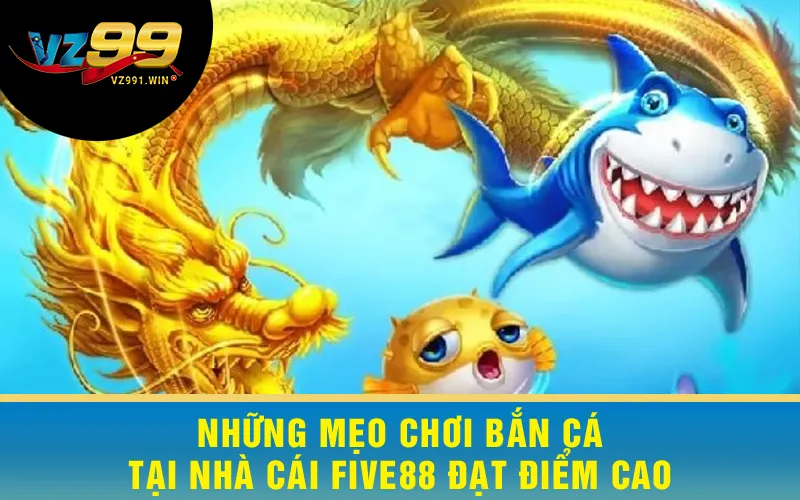 Những Mẹo Chơi Bắn Cá Five88 Đạt Điểm Cao