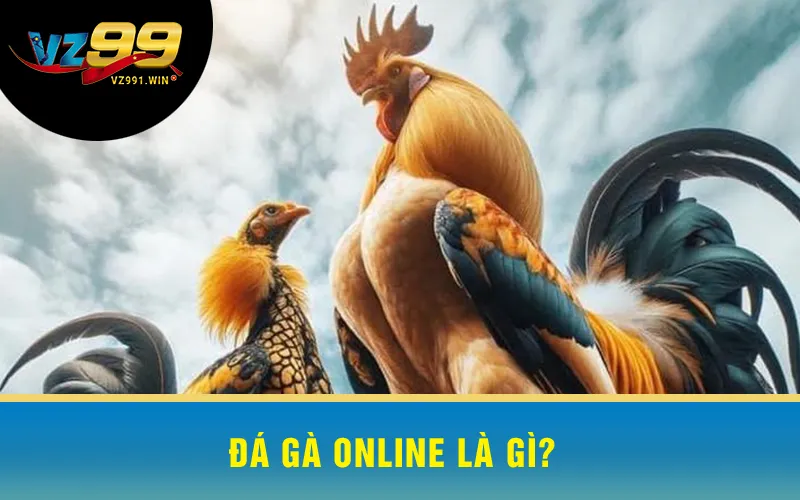 Đá Gà Online Là Gì?