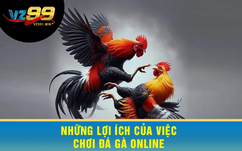 Những Lợi Ích Của Việc Chơi Đá Gà Online