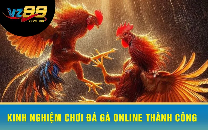 Kinh Nghiệm Chơi Đá Gà Online Thành Công