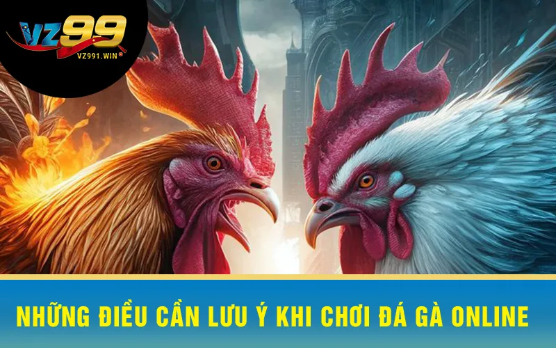 Những Điều Cần Lưu Ý Khi Chơi Đá Gà Online