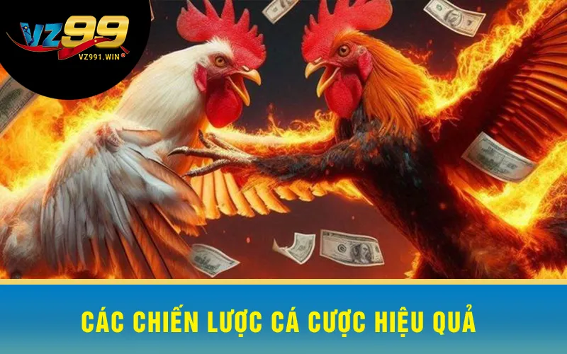 Các Chiến Lược Cá Cược Hiệu Quả