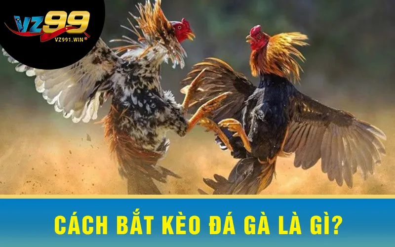 Cách Bắt Kèo Đá Gà Là Gì?