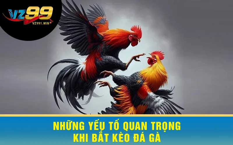 Những Yếu Tố Quan Trọng Khi Bắt Kèo Đá Gà