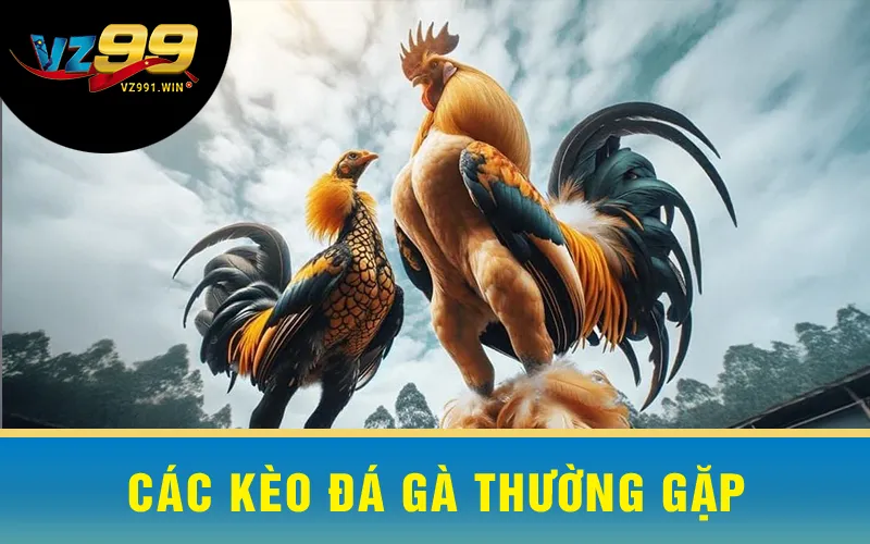 Các Kèo Đá Gà Thường Gặp