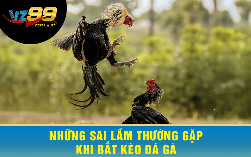 Những Sai Lầm Thường Gặp Khi Bắt Kèo Đá Gà