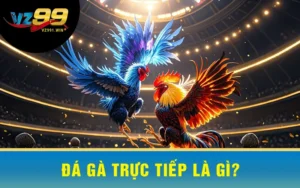 Đá Gà Trực Tiếp Là Gì?
