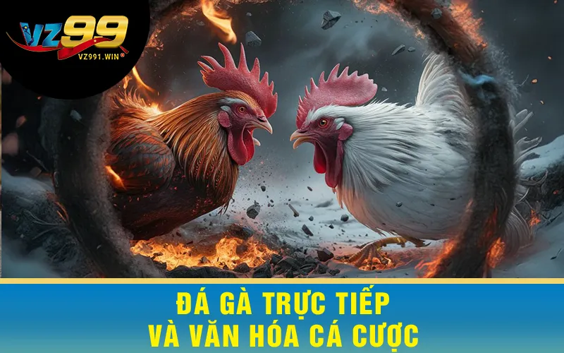 Đá Gà Trực Tiếp Và Văn Hóa Cá Cược
