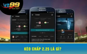 Kèo Chấp 2.25 Là Gì?