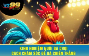 Kinh Nghiệm Nuôi Gà Chọi - Cách Chăm Sóc Để Gà Chiến Thắng