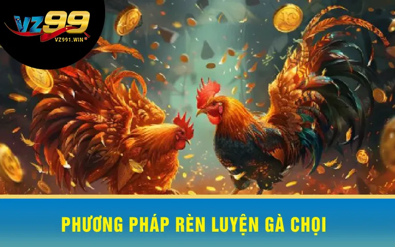 Phương Pháp Rèn Luyện Gà Chọi