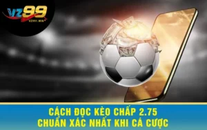 Cách Đọc Kèo Chấp 2.75 Chuẩn Xác Nhất Khi Cá Cược