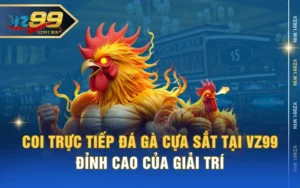 Coi Trực Tiếp Đá Gà Cựa Sắt Tại VZ99 - Đỉnh Cao Của Giải Trí