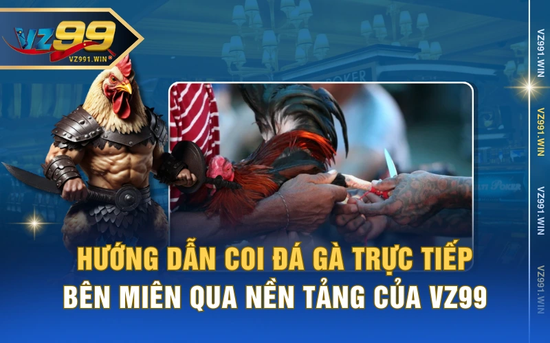 Hướng Dẫn Coi Đá Gà Trực Tiếp Bên Miên Qua Nền Tảng Của VZ99
