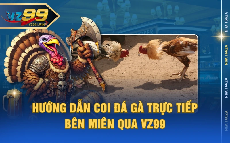 Hướng Dẫn Coi Đá Gà Trực Tiếp Bên Miên qua VZ99