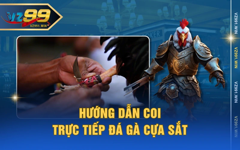 Hướng dẫn coi trực tiếp đá gà cựa sắt