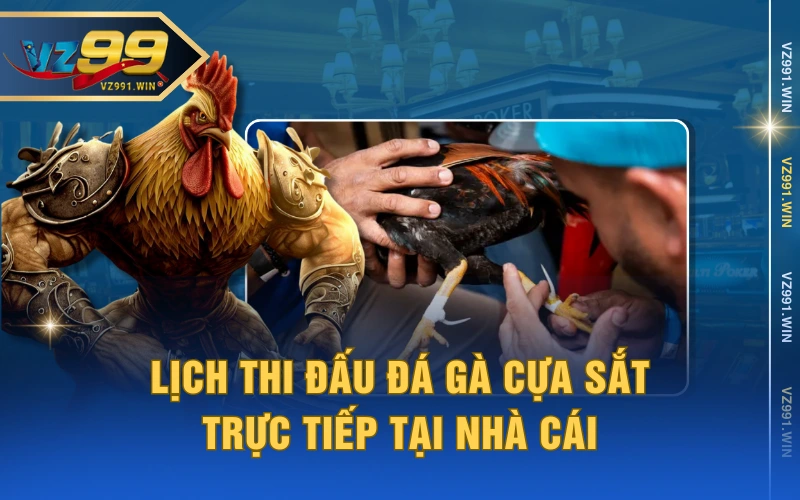 Lịch thi đấu đá gà cựa sắt trực tiếp tại nhà cái