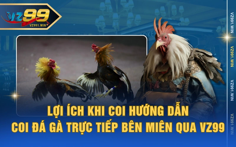 Lợi ích khi coi hướng dẫn coi đá gà trực tiếp bên miên qua VZ99