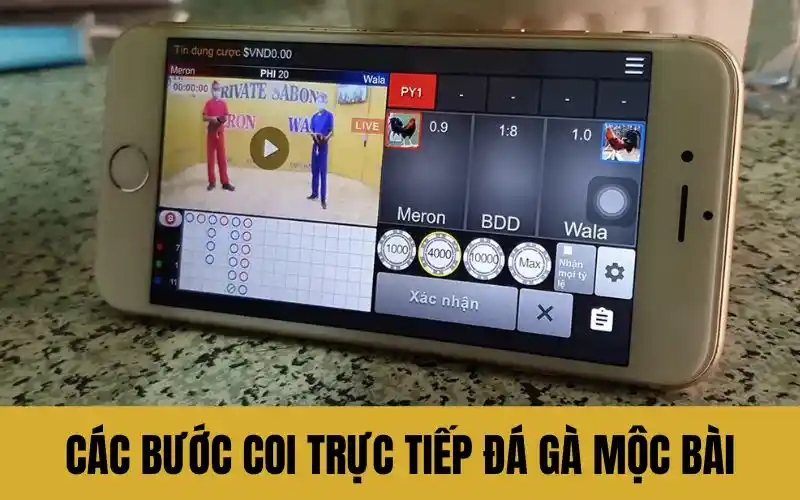 Chi tiết các bước coi trực tiếp đá gà mộc bài