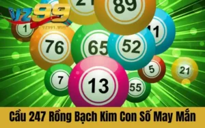 Cầu 247 Rồng Bạch Kim - Hé Lộ Bí Ẩn Giải Mã Con Số May Mắn