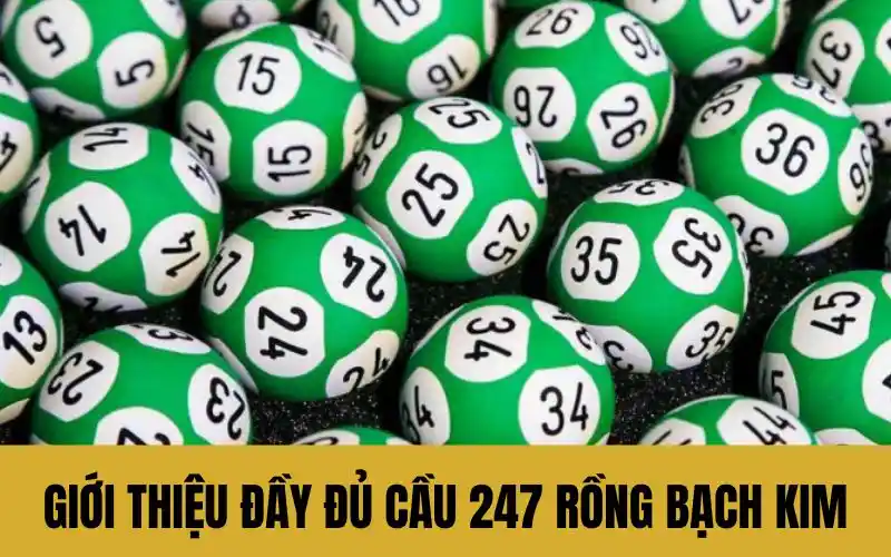 Giới thiệu đầy đủ cầu 247 rồng bạch kim