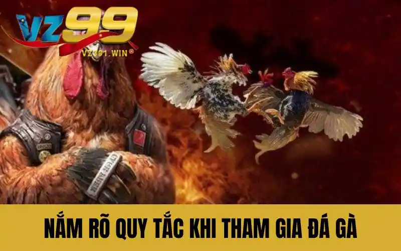 Người chơi cần nắm rõ quy tắc khi tham gia đá gà