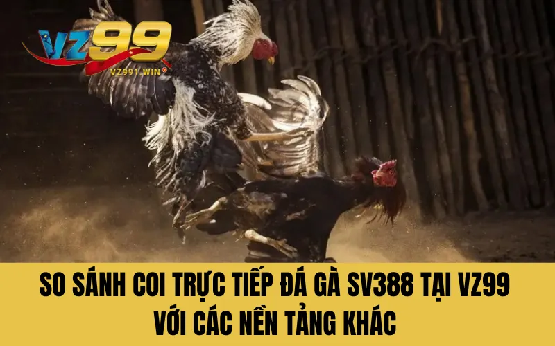 So sánh coi trực tiếp đá gà sv388 tại VZ99 với các nền tảng khác