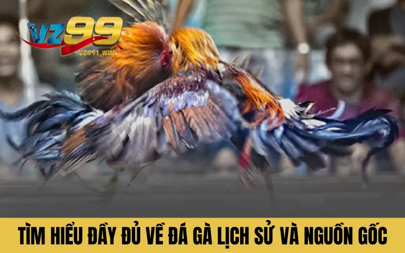 Tìm hiểu đầy đủ về đá gà: Lịch sử và nguồn gốc