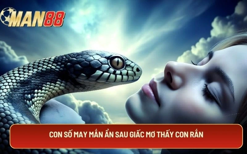 Con số may mắn ẩn sau giấc mơ thấy con rắn