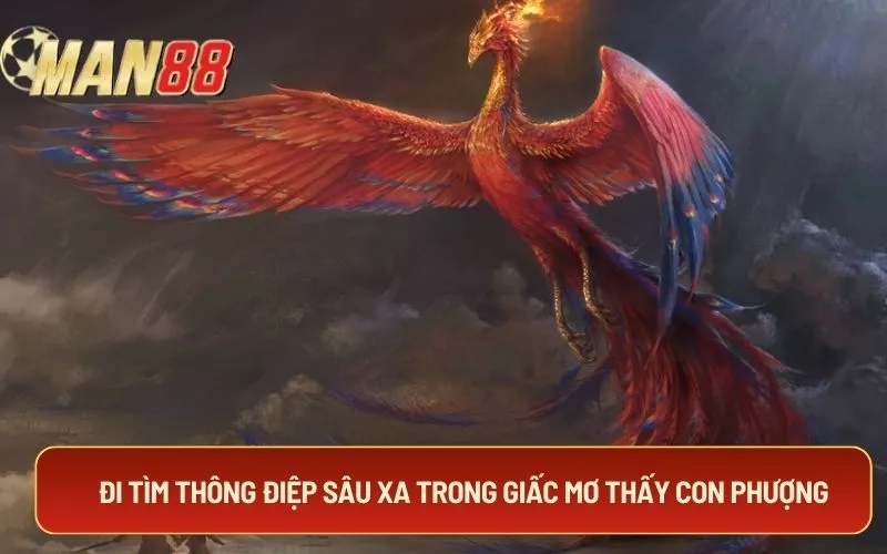 Đi tìm thông điệp sâu xa trong giấc mơ thấy con phượng