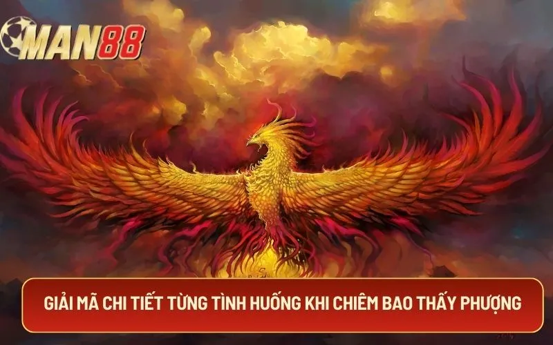 Giải mã chi tiết từng tình huống khi chiêm bao thấy phượng