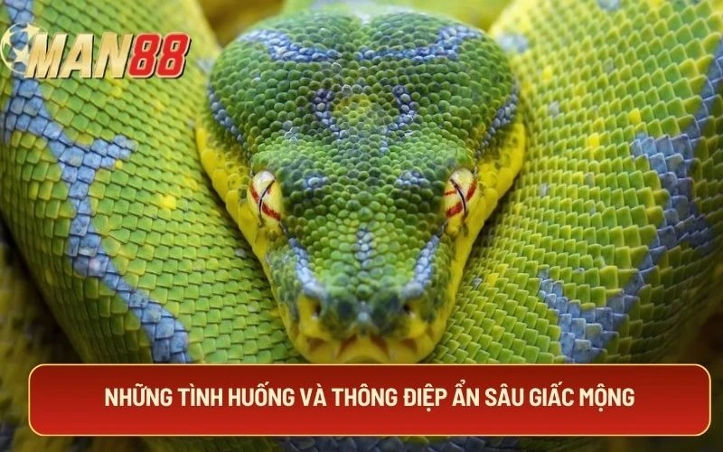 Những tình huống và thông điệp ẩn sâu giấc mộng