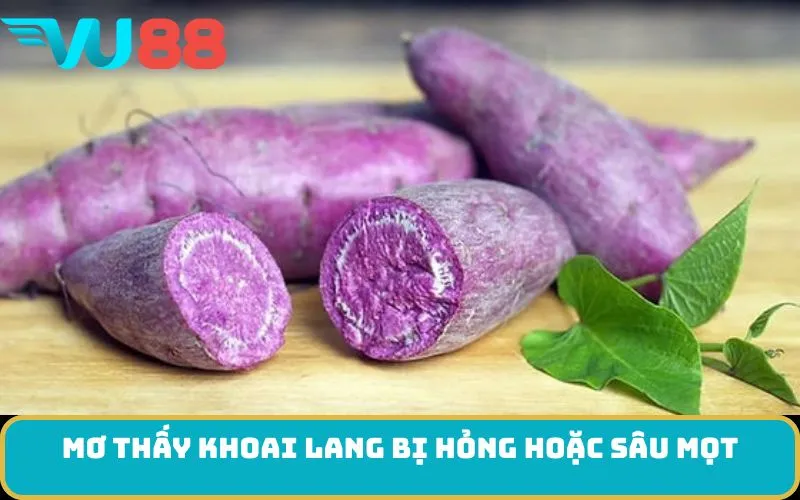 Mơ thấy khoai lang bị hỏng hoặc sâu mọt