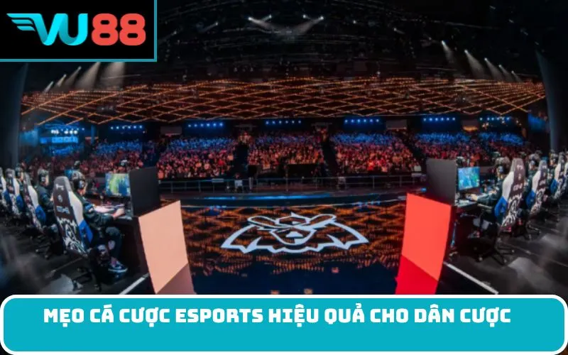 Mẹo cá cược esports hiệu quả cho dân cược
