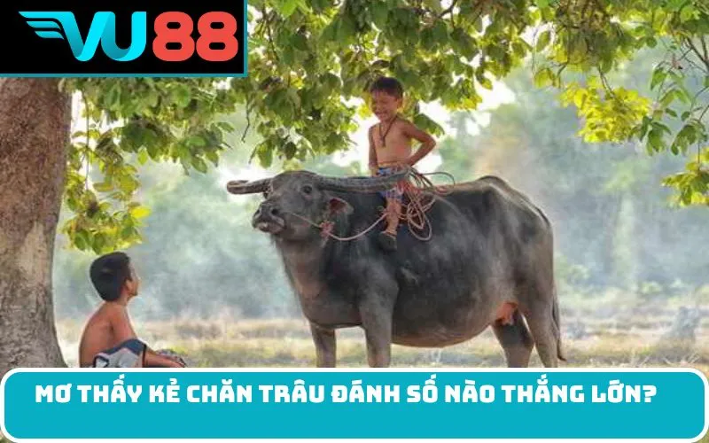 Mơ thấy kẻ chăn trâu đánh số nào thắng lớn?