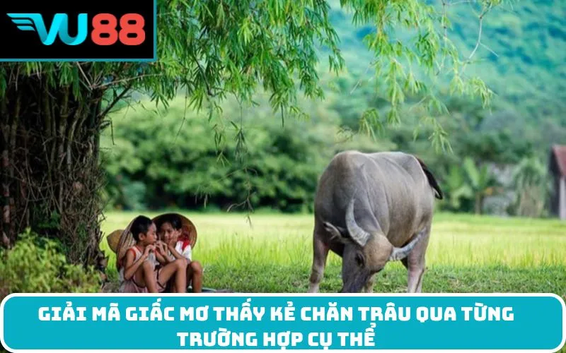 Giải mã giấc mơ thấy kẻ chăn trâu qua từng trường hợp cụ thể