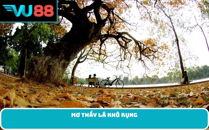 Mơ thấy lá khô rụng