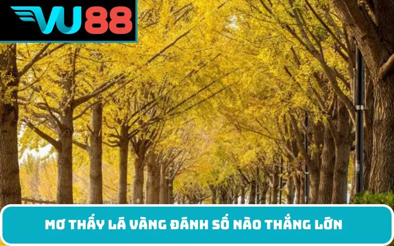 Mơ thấy lá vàng đánh số nào thắng lớn