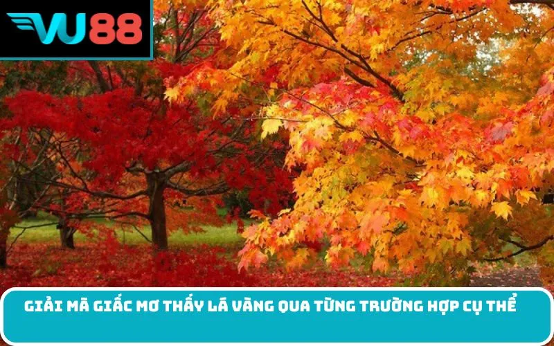 Giải mã giấc Mơ thấy lá vàng qua từng trường hợp cụ thể