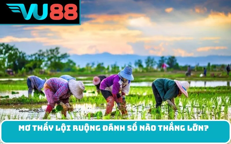 Mơ thấy lội ruộng đánh số nào thắng lớn?