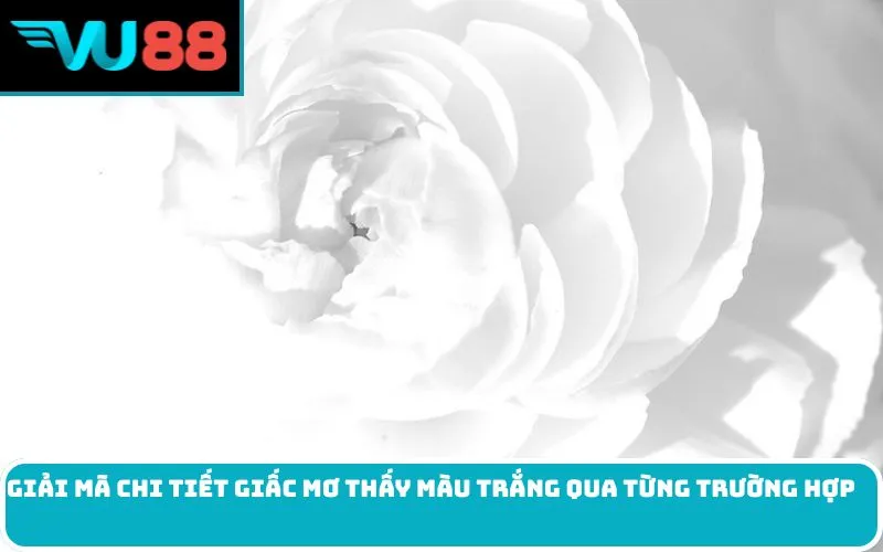 Giải mã chi tiết giấc Mơ thấy màu trắng qua từng trường hợp