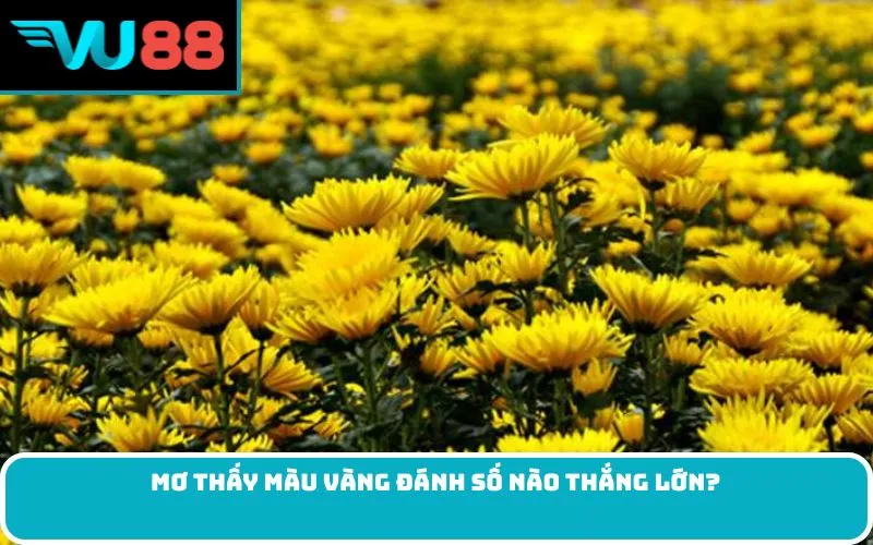 Mơ thấy màu vàng đánh số nào thắng lớn?