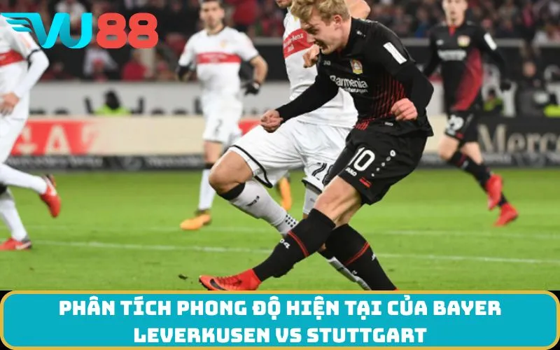 Phân tích phong độ hiện tại của Bayer Leverkusen Vs Stuttgart