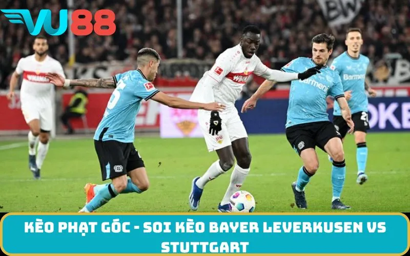 Kèo phạt góc - soi kèo Bayer Leverkusen Vs Stuttgart